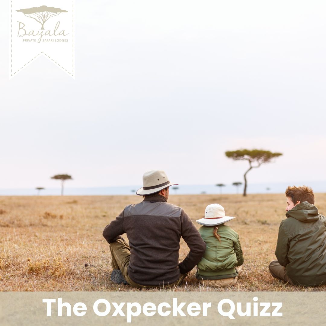 Oxpecker quizz
